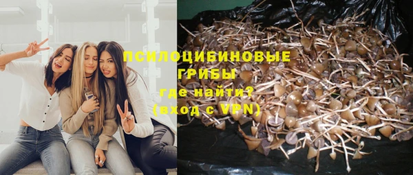 кристаллы Аша