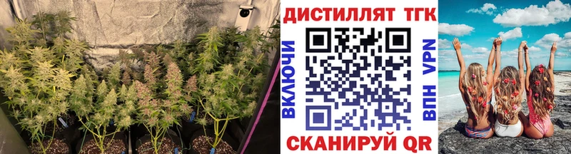 Дистиллят ТГК вейп  Купить  Грязовец 