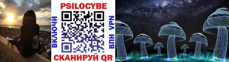 Купить где  Грязовец  Псилоцибиновые грибы мицелий 